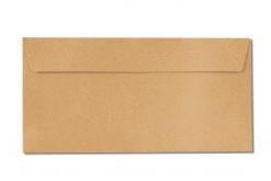 DL orange envelopes