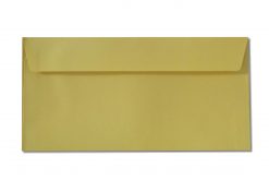 DL yellow envelopes
